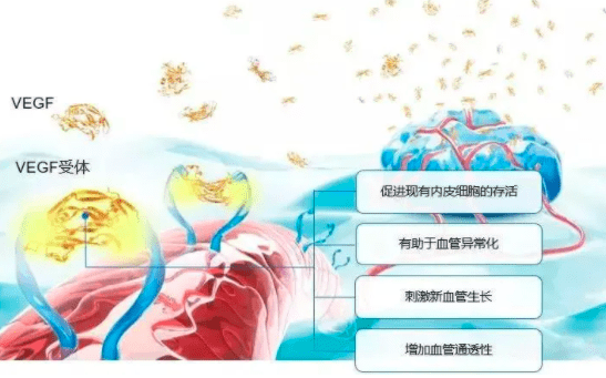 索拉非尼|肝癌靶向药哪种效果最好？
