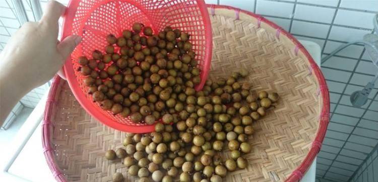 怎么晒龙眼干比较快 7f0d880da88a4d8cad5d799fcde2fe61.jpeg