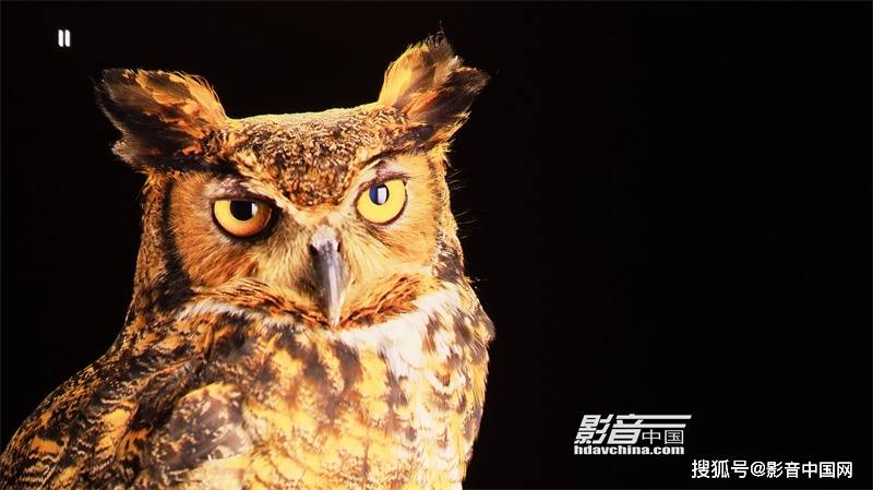 方面|BenQ i985L：迈进另一个阶段的三色激光强作