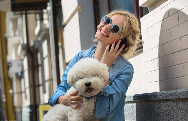 智商|如果你家狗狗有这5种表现,说明它很聪明,可别小瞧它了!