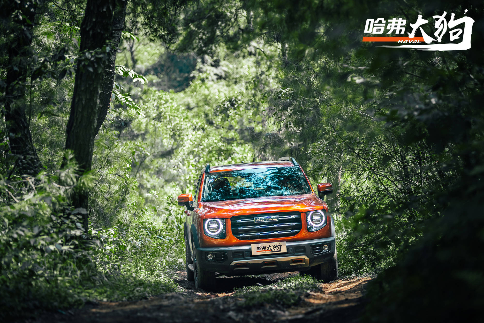 哈弗大狗巅峰挑战赛领略黔城魅力