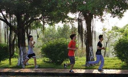 空腹|早上跑步，空腹跑还是饭后跑？晨跑的正确标准是什么？