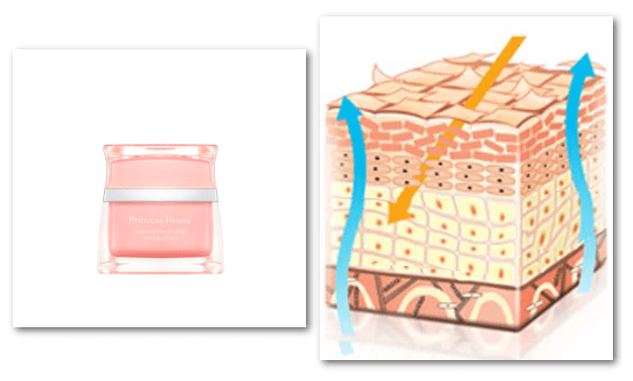 用户|全新升级2 | 日间持续抗氧化,由内而外的呵护,打造透亮日光肌
