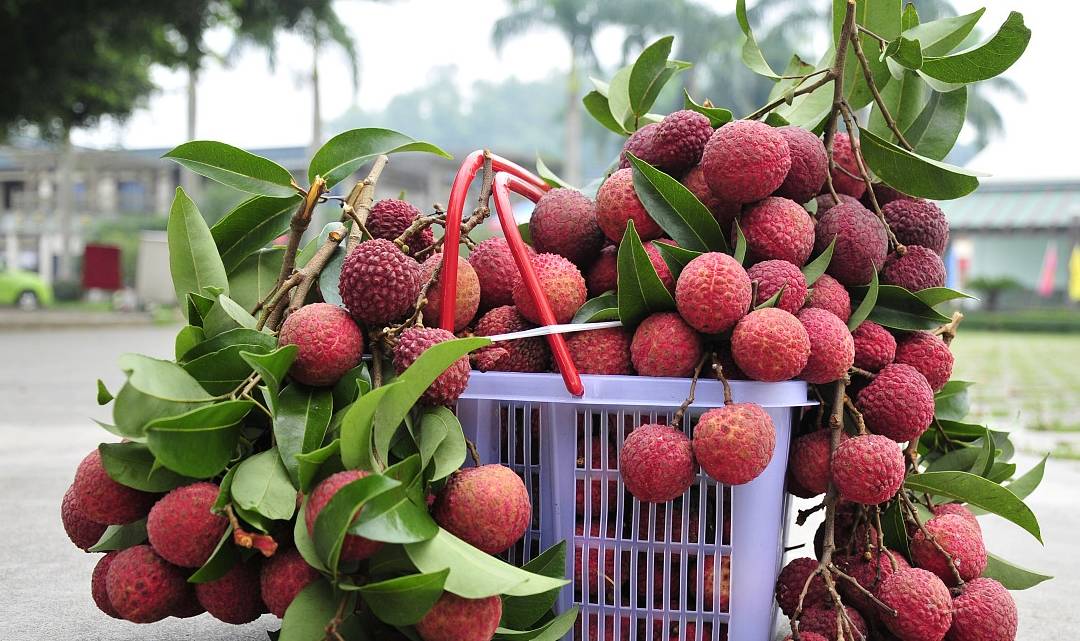 水果|四个习惯，是糖尿病“加速器”，若你都不占，血糖或不敢放肆