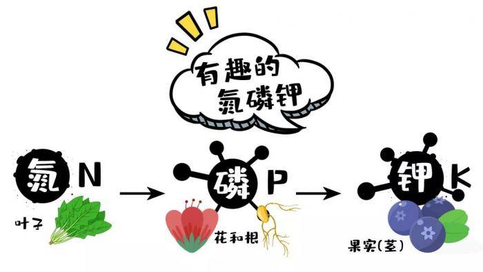 氮磷钾过量使用后果这么可怕