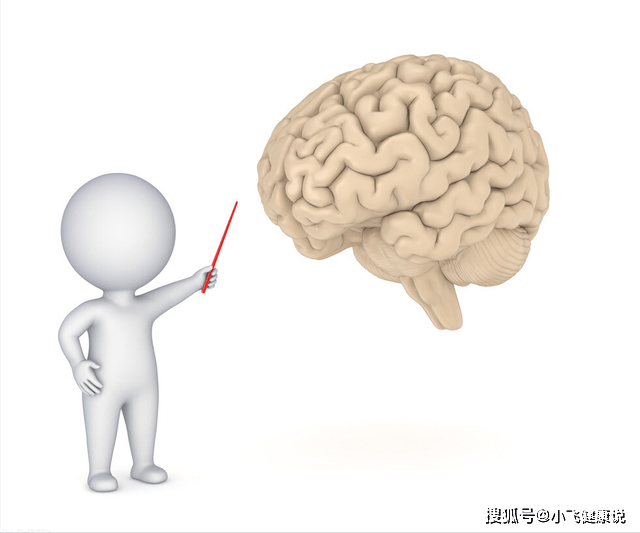 人体|长期不吃早餐对身体有哪些伤害,关键现在在下列5个“层面”