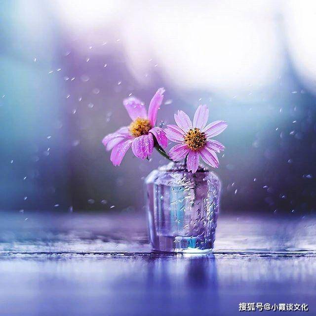 1dd6768a782f4174849b17d16099824f.jpeg