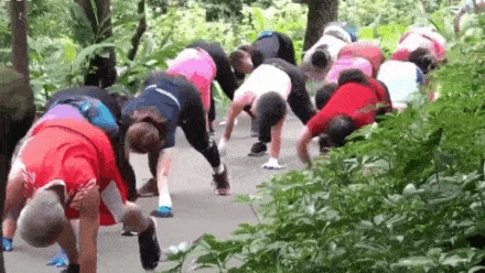 女子|不走寻常路！女子模仿动物爬行健身引追捧，能治腰椎病是真的吗？