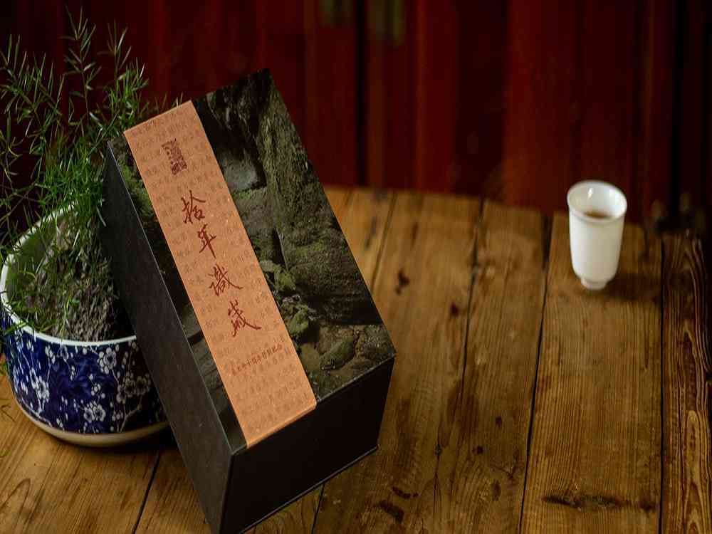 茶叶|嘉木会|十年茶道路漫漫 藏茶密室养蜜韵