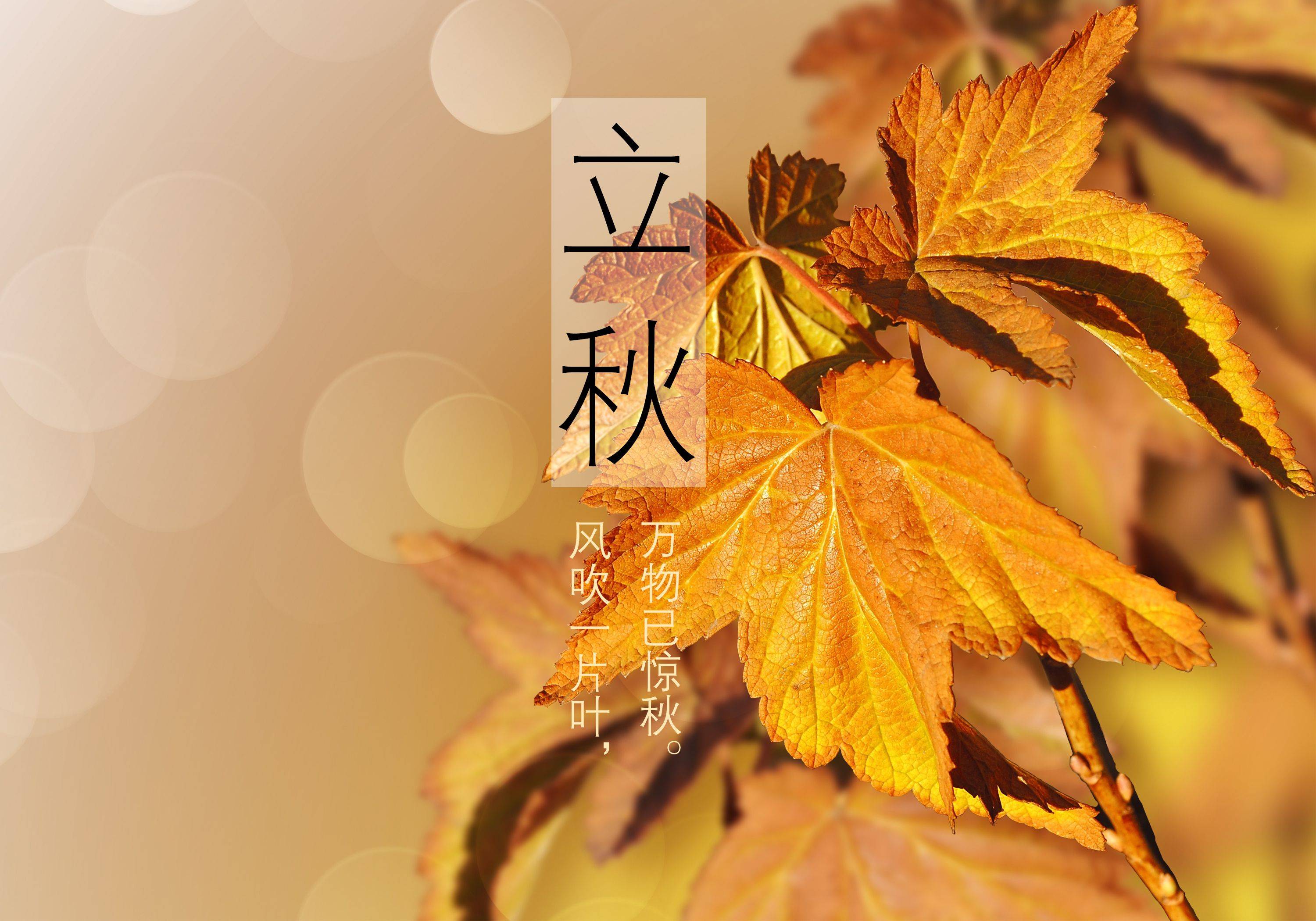 饺子|立秋三宜！莫要错过开运好时机