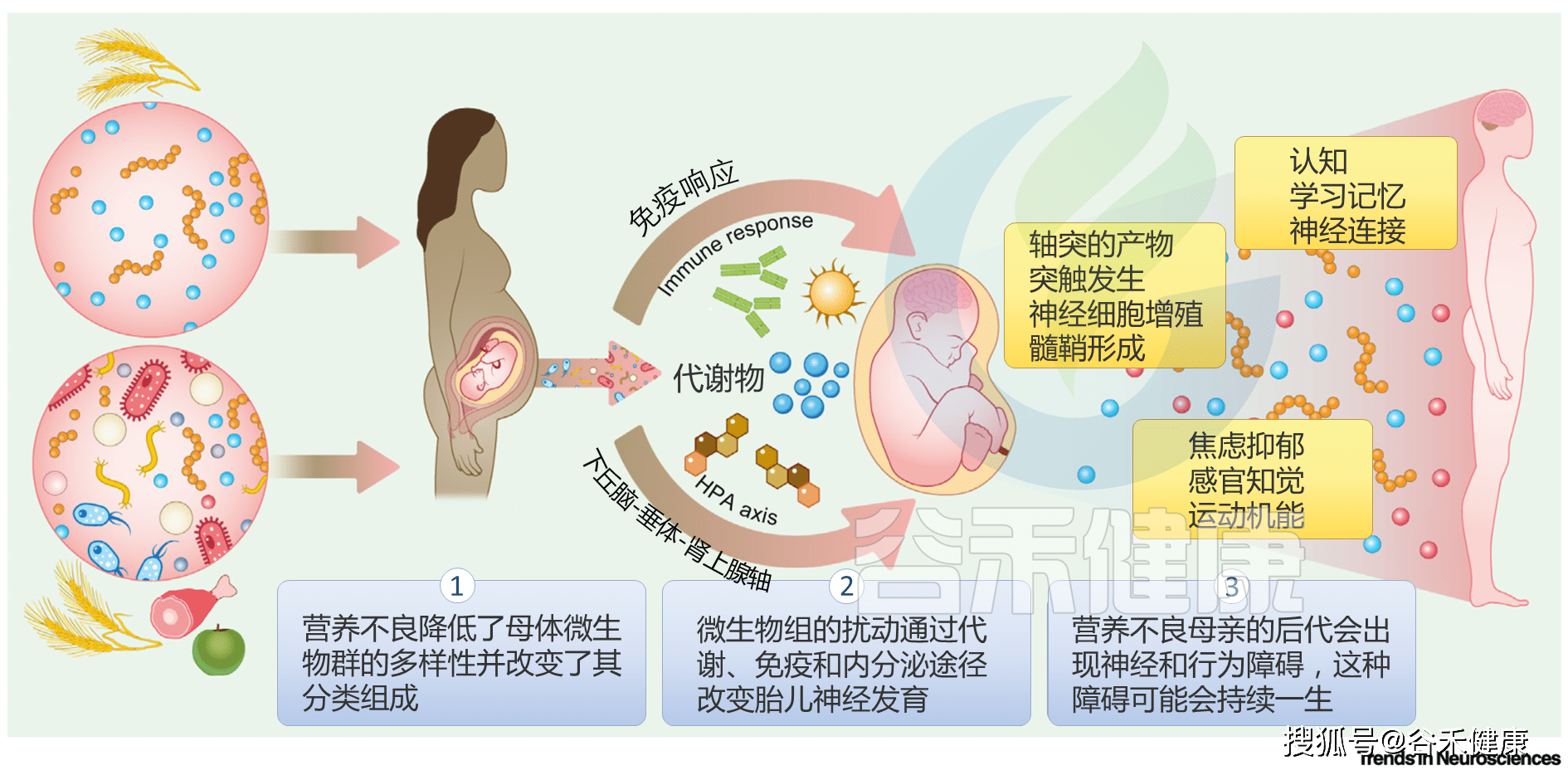 78f19b23c81a48ed91d8053506b80eac.png