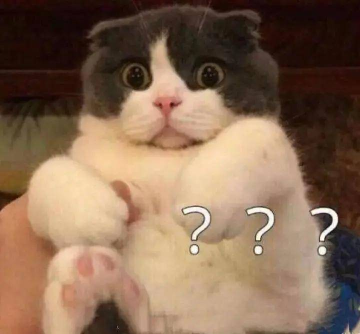 女子|不走寻常路！女子模仿动物爬行健身引追捧，能治腰椎病是真的吗？