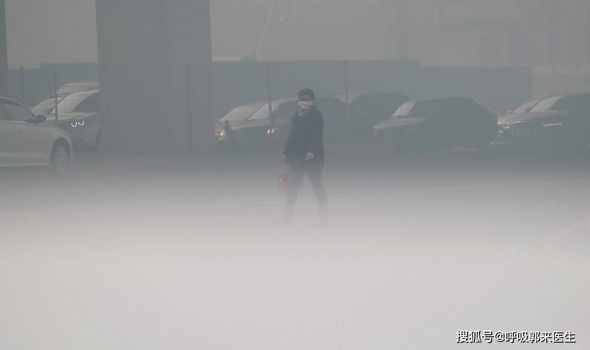 气道|是什么导致了肺气肿