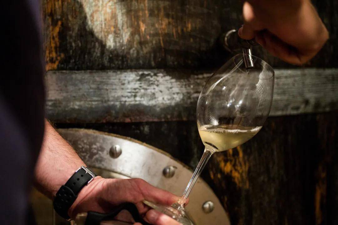 酒庄|桑塞尔两大名家,凡卓岸&达歌诺,品味卢瓦尔河的纯净之美!