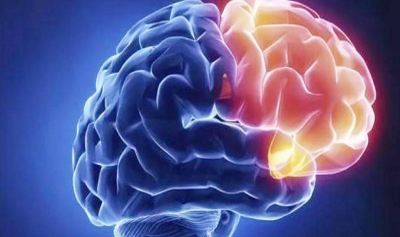 几个月胎儿所有身体器官发育好 5941a5f0e982442f91ed72f0b4c20d94.jpeg