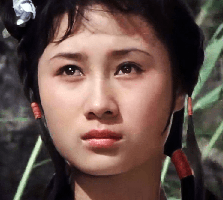 《少林寺》担任该片的女主角白无暇,丁岚在剧中的表现非常不错,《少林