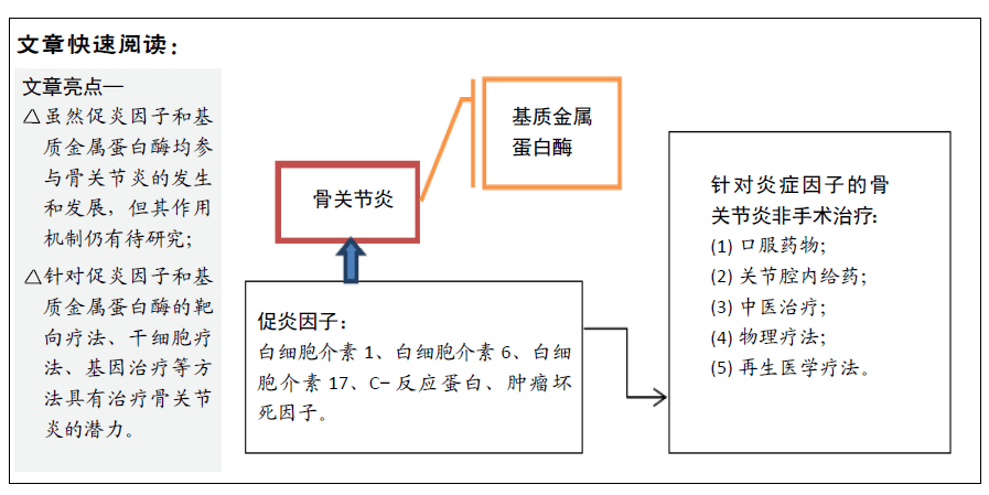 促炎因子及基質金屬蛋白酶在骨關節炎發病機制及相關治療中的地位和