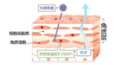 功能|双孖医美解析，用好水光针来补水，应该打哪个层次，选什么牌子？