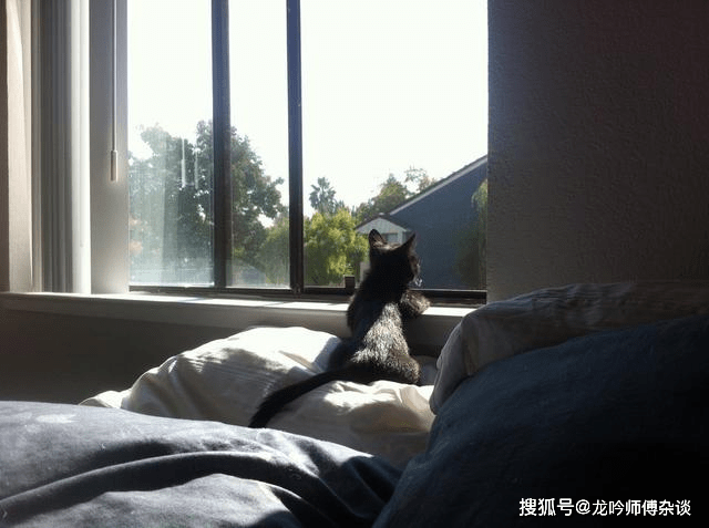 a9130da5ef764a2b898c10091043b6bf.png