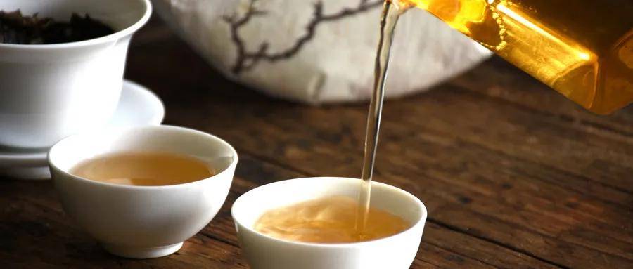 人体|疫情期间,感受一杯白茶的力量,专属于爱喝茶的你