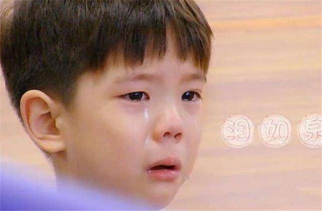 家长|孩子被打了怎么办？霍思燕的解决步骤堪称教科书，值得家长学习