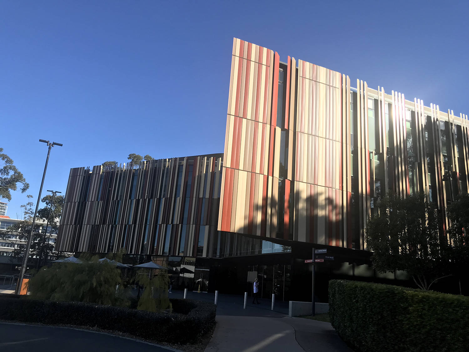 全世界排名大学_世界排名前100的大学(3)