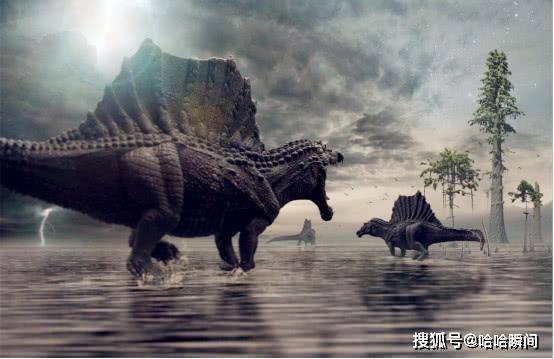 恐龙经历上亿年的时间，都没能进化成高等生物，是什么阻止了它？插图3