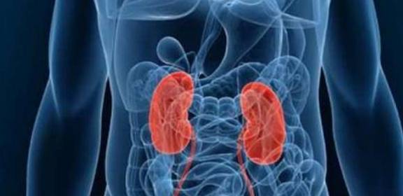 血管|担心肾病发展成尿毒症？只要注意这4点，尿毒症不攻自破！