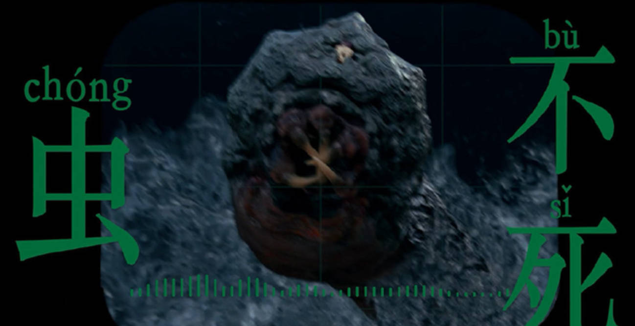 官宣|终于熬出头了！这部让你们苦等整整1年的16集狠剧，终于官宣定档