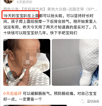 鹅不吃东西怎么办