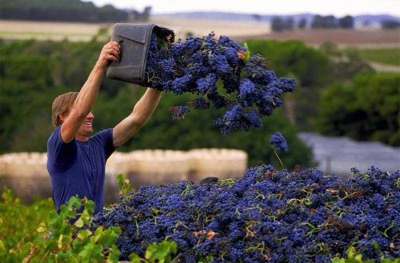 我國(guó)|此消彼長(zhǎng)的兩個(gè)好消息，一個(gè)來(lái)自澳大利亞，還有個(gè)來(lái)自中國(guó)