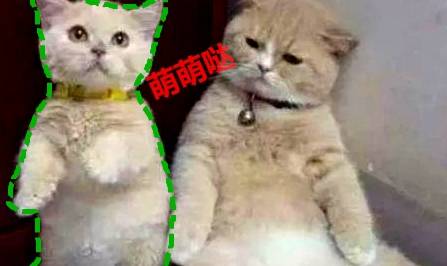 0e77dc32e82b4b17b0adf06d1c6e09ff.jpeg