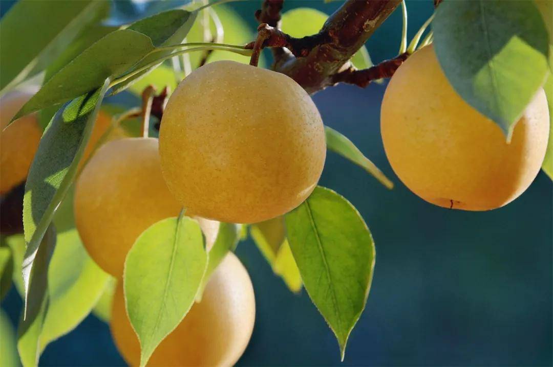 云和|立秋 | 暑热将褪 忽而入秋