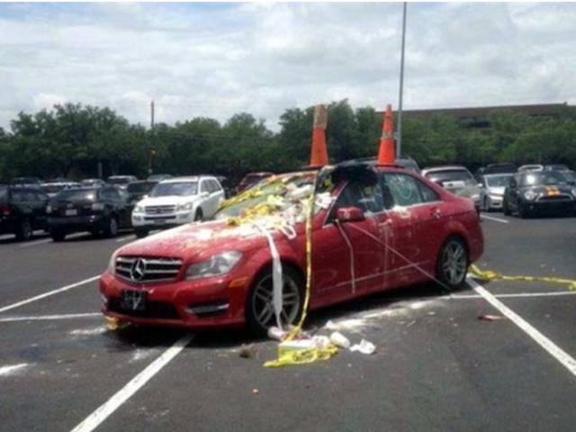 59eeae333a8940498bc2a3df2d2860be.jpeg