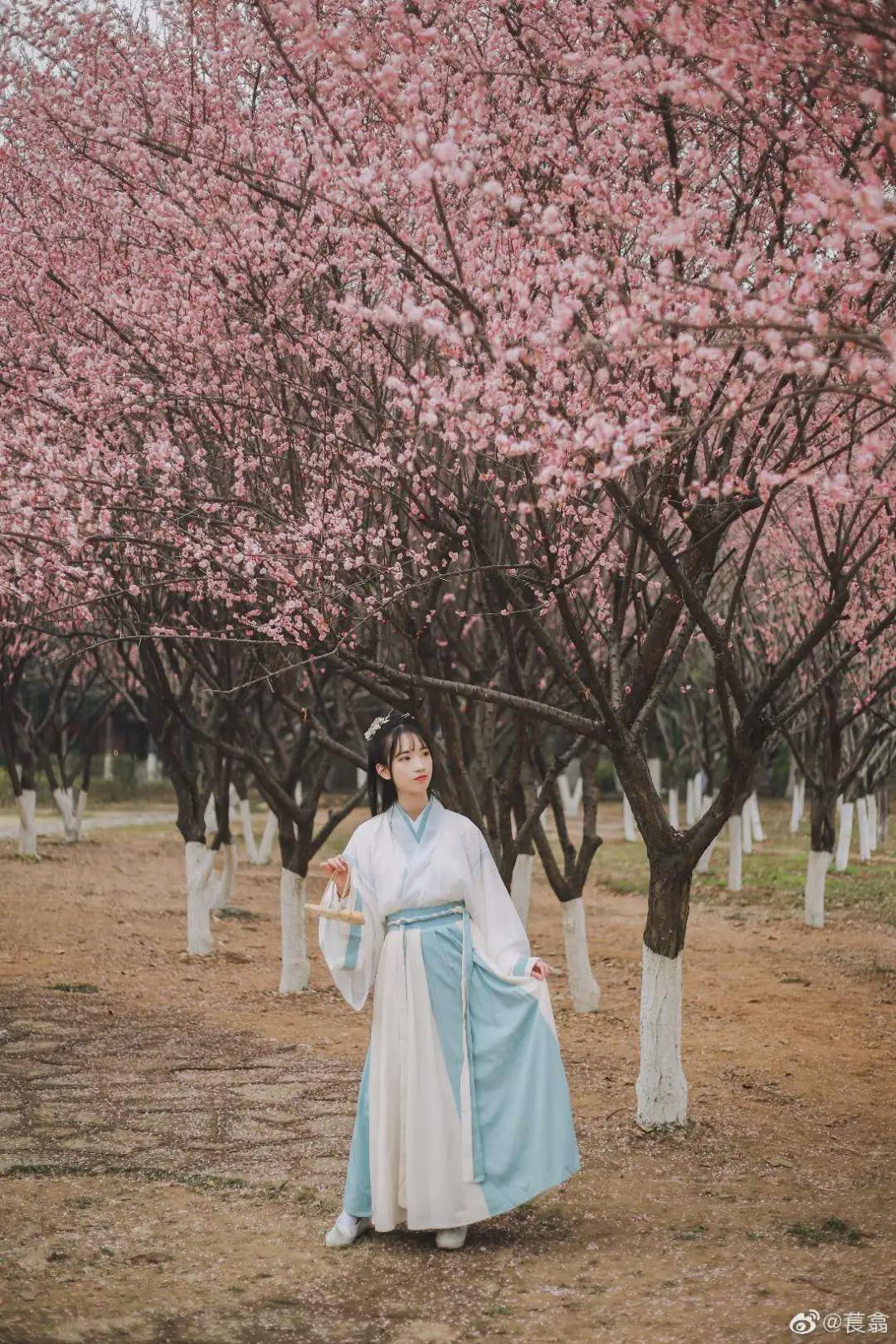 摄影|汉服小仙女：仙女来了