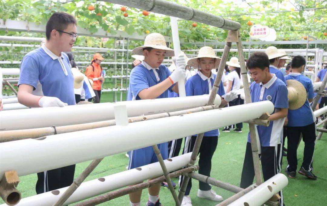 鋤頭|研學印記｜最美的課堂在路上——德琳學校