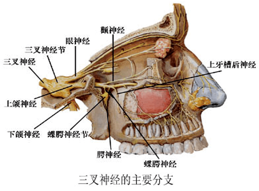 北京彭胜医院(北京彭胜医院是私人医院吗)