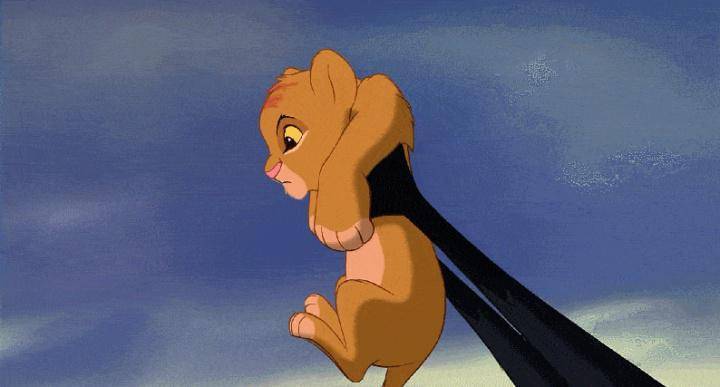 网友表示,这一幕像极了《狮子王》里小辛巴被举起的那一刻!