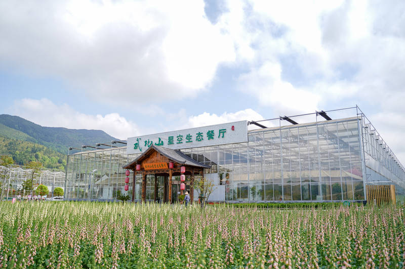 农业|萍乡最美的产业园，占地600亩，就在武功山脚下