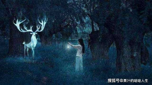 探索梦境的奥秘，解析昨天晚上我做了一个奇怪的梦的深层含义