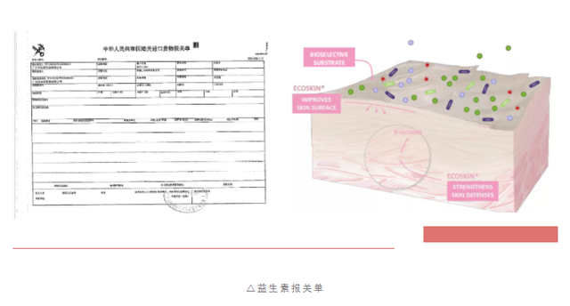 测评盘点|全新升级5 | 你的补水王牌，告别干燥起皮，脸蛋嫩到能掐出水