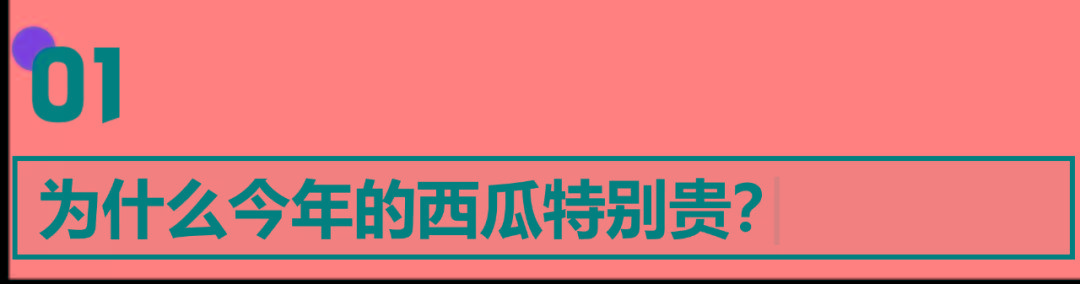 西瓜怎么挑（西瓜怎么挑才知道是甜的）
