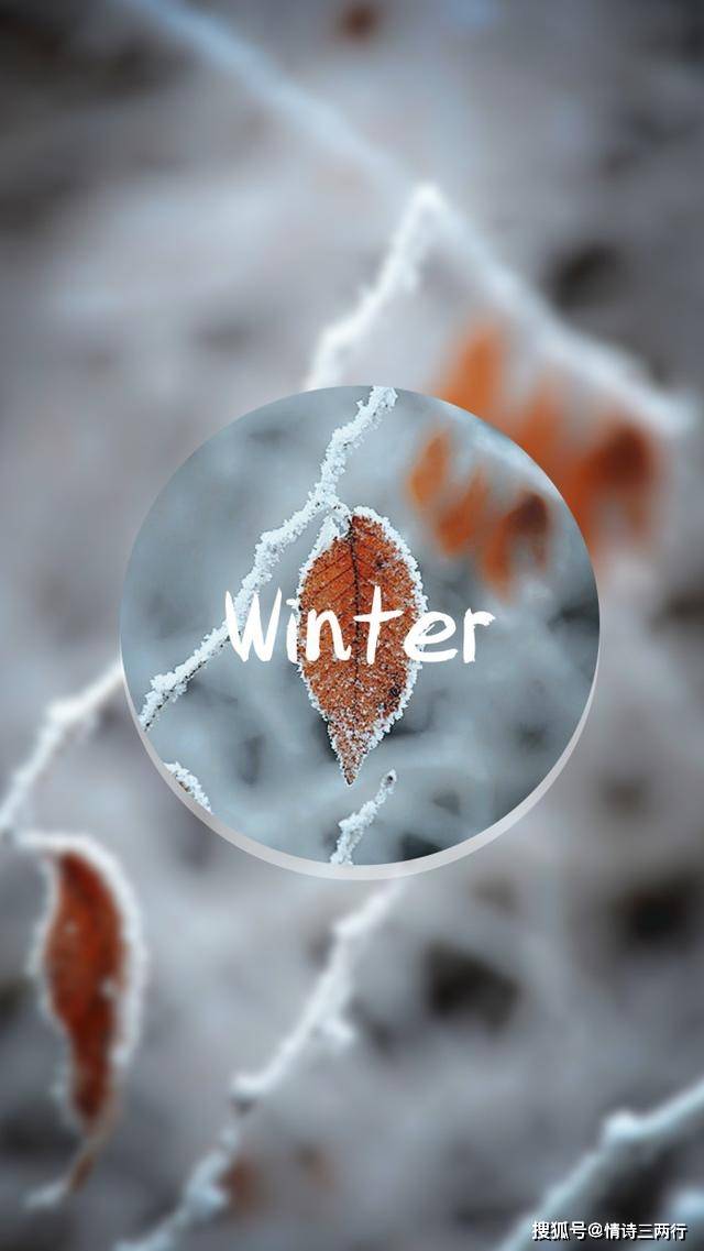 50句美到窒息的诗歌,关于冬天和春天【推荐收藏】_梨花