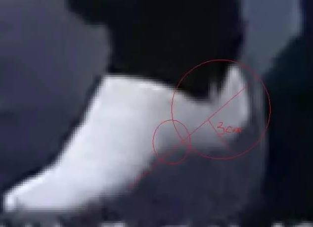鞠婧祎|考验眼力!隐形内增高厚度大起底,明星们一个比一个敢穿!