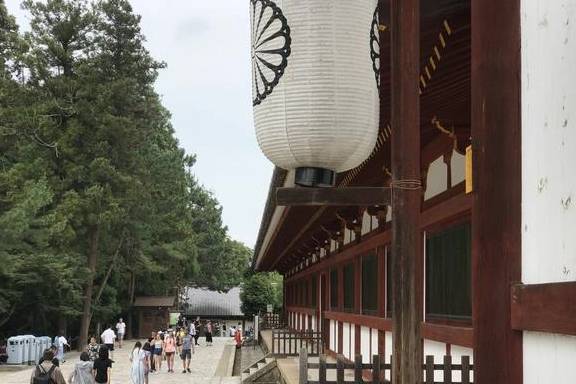 奈良有一座比太和殿还高大的古建