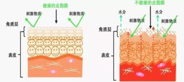 夏天|夏天不仅要控油，修护也很重要，佰花方护肤品修复成分有哪些？