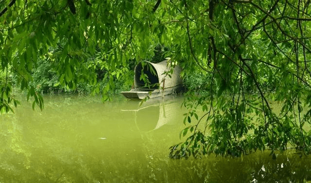 成都春天赏花地：浣花溪公园 繁花似锦品种多样 被评为五星级公园