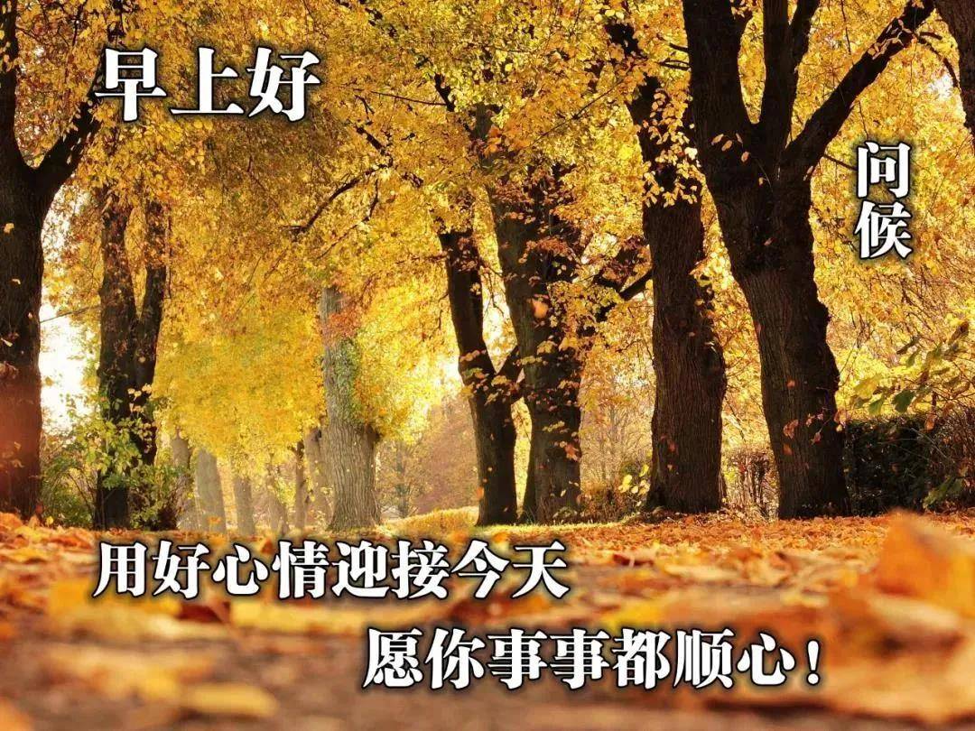 原創2021年8月12日星期四清晨早上好問候圖片週四最新早安問候祝福