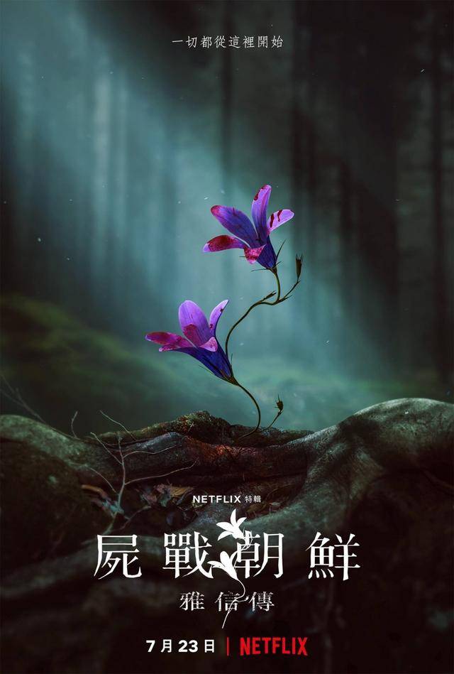 阿信|《王国》外传，《北方的阿信》没有垮掉，全智贤镜头虽少依然惊艳！