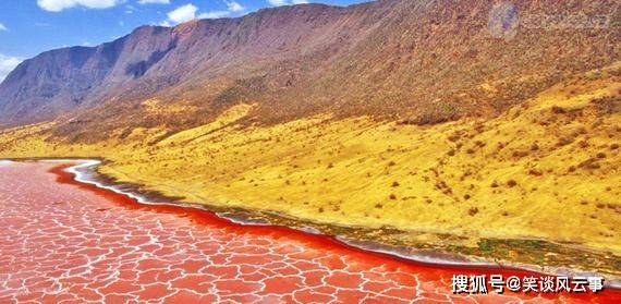 被称为“冥湖”的非洲湖泊，不仅表面通红，还伫立着石化的鸟类